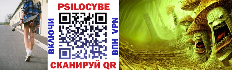 мориарти официальный сайт  Полярные Зори  Галлюциногенные грибы Psilocybine cubensis  как найти закладки 